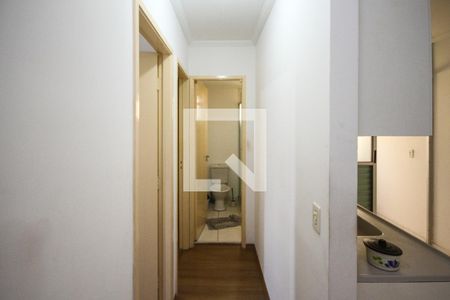 Corredor de apartamento para alugar com 2 quartos, 40m² em Vila Antonieta, São Paulo