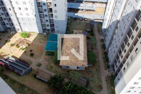 VISTA DA SACADA de apartamento para alugar com 2 quartos, 55m² em Vila Mimosa, Campinas