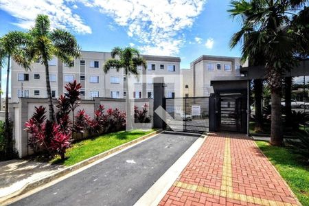 Apartamento à venda com 2 quartos, 55m² em Jardim Esmeraldina, Campinas