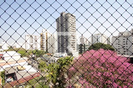 Varanda da Sala de apartamento para alugar com 3 quartos, 214m² em Planalto Paulista, São Paulo