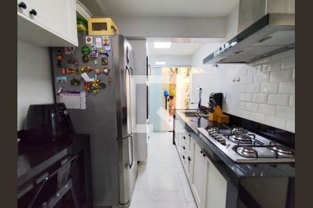 Cozinha de apartamento à venda com 3 quartos, 180m² em Santo Antônio, Belo Horizonte