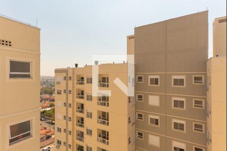 Vista do Quarto 1 de apartamento para alugar com 2 quartos, 55m² em Jardim Nova Europa, Campinas