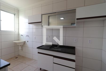 Cozinha de apartamento para alugar com 2 quartos, 47m² em Residencial Jequitibá, Ribeirão Preto