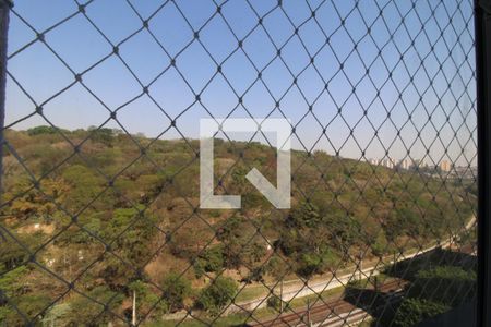 Vista janela da sala de apartamento para alugar com 2 quartos, 35m² em Usina Piratininga, São Paulo