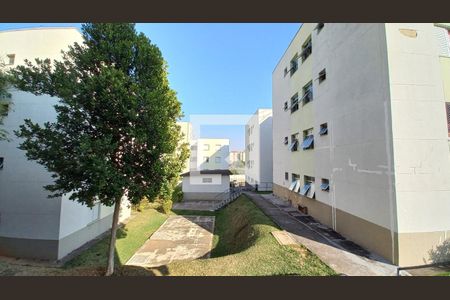 Vista do Quarto 2 de apartamento à venda com 2 quartos, 45m² em Jardim dos Oliveiras, Campinas