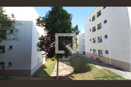 Vista do Quarto 1 de apartamento para alugar com 2 quartos, 45m² em Jardim dos Oliveiras, Campinas