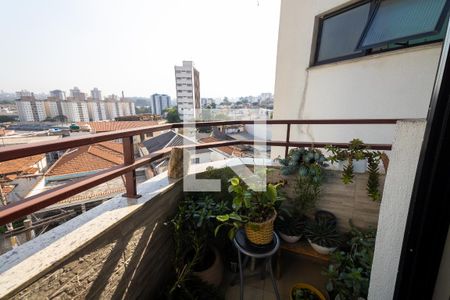 Varanda da Sala de apartamento à venda com 3 quartos, 84m² em Vila Bela, São Paulo