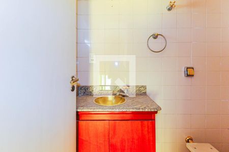 Lavabo de apartamento para alugar com 3 quartos, 110m² em Jardim Santo Amaro, São Paulo