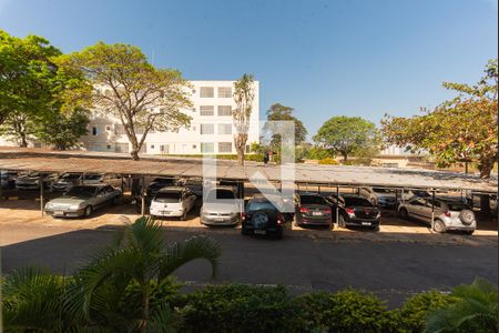 Vista do Quarto 1 de apartamento para alugar com 2 quartos, 48m² em Jardim Amazonas, Campinas