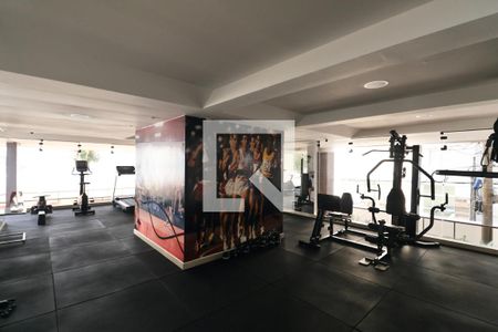 Apartamento para alugar com 100m², 3 quartos e 1 vaga Apartamento para alugar com 100m², 3 quartos e 1 vagaÁrea comum - Academia