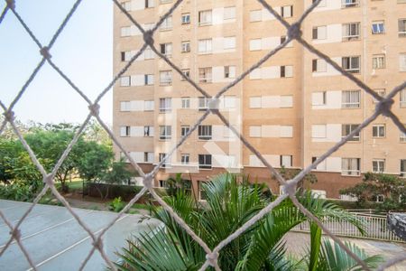 Vista do Quarto 1 de apartamento para alugar com 2 quartos, 46m² em Novo Osasco, Osasco