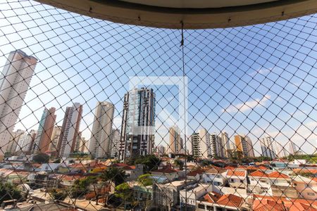 Vista Da Varanda de apartamento à venda com 3 quartos, 253m² em Jardim Anália Franco, São Paulo