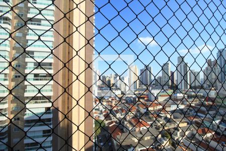 Vista da Varanda da Sala de apartamento à venda com 3 quartos, 120m² em Vila Santo Estevão, São Paulo