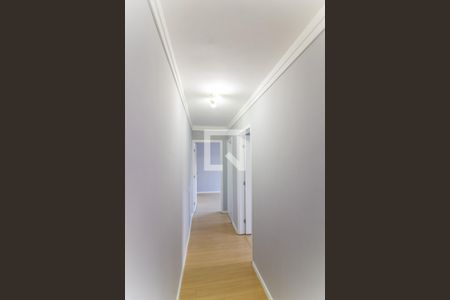 Corredor de apartamento à venda com 2 quartos, 44m² em Jardim Maria Duarte, São Paulo