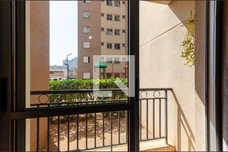 Sacada de apartamento para alugar com 2 quartos, 48m² em Vila Santa Delfina, São Paulo