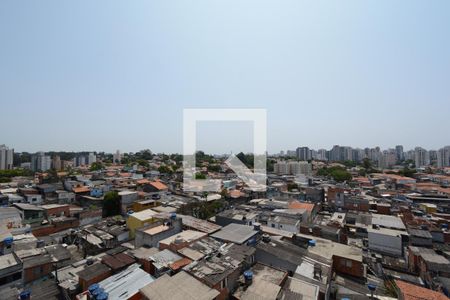 Vista da Sala/Cozinha de apartamento para alugar com 1 quarto, 31m² em Jardim Cidália, São Paulo