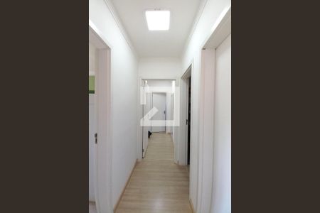 Corredor  de apartamento à venda com 3 quartos, 78m² em Parque Fazendinha, Campinas