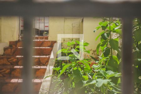 Vista de casa para alugar com 3 quartos, 100m² em Mirandópolis, São Paulo