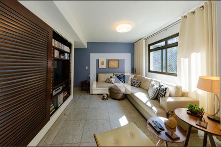 Sala de apartamento à venda com 4 quartos, 160m² em Luxemburgo, Belo Horizonte