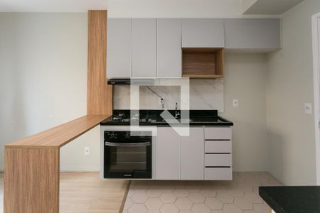 Sala / Cozinha / Serviço de apartamento para alugar com 1 quarto, 24m² em Vila Nova das Belezas, São Paulo