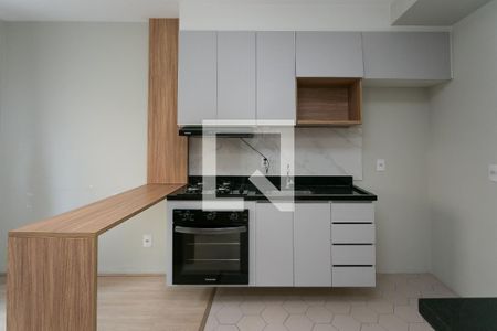 Sala / Cozinha / Serviço de apartamento para alugar com 1 quarto, 24m² em Vila Nova das Belezas, São Paulo