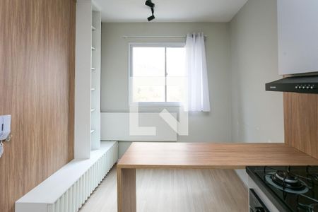 Sala / Cozinha / Serviço de apartamento para alugar com 1 quarto, 24m² em Vila Nova das Belezas, São Paulo