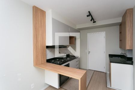 Sala / Cozinha / Serviço de apartamento para alugar com 1 quarto, 24m² em Vila Nova das Belezas, São Paulo