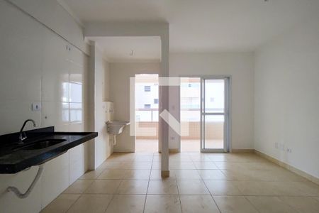 Sala de apartamento para alugar com 1 quarto, 60m² em Aviação, Praia Grande