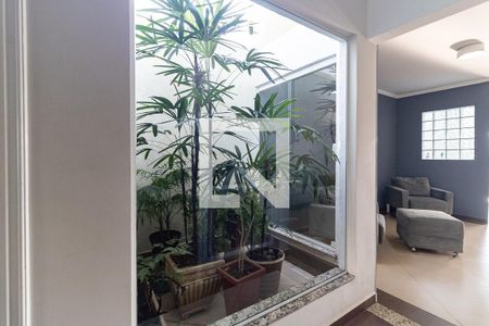 Jardim de Inverno de casa à venda com 3 quartos, 300m² em Vila Moinho Velho, São Paulo