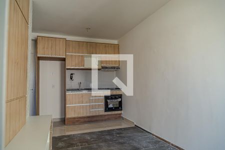 Studio de apartamento para alugar com 1 quarto, 33m² em Vila Santa Catarina, São Paulo