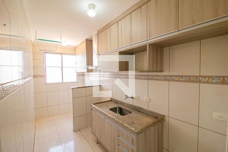 Cozinha de apartamento para alugar com 2 quartos, 60m² em Núcleo Habitacional Brigadeiro Faria Lima, Indaiatuba