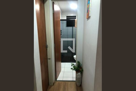 Banheiro de apartamento para alugar com 2 quartos, 50m² em Loteamento Parque Centenario, Campinas