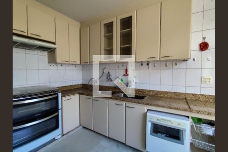 Cozinha de apartamento para alugar com 5 quartos, 300m² em Santo Agostinho, Belo Horizonte