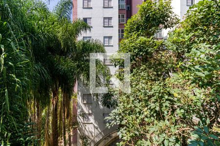 Quarto 1 vista de apartamento para alugar com 2 quartos, 56m² em Parque Reboucas, São Paulo