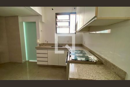 Cozinha de apartamento para alugar com 3 quartos, 91m² em Luxemburgo, Belo Horizonte