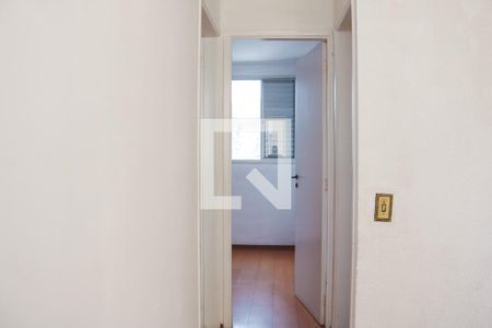 Corredor de apartamento para alugar com 2 quartos, 100m² em Vila Amalia (zona Norte), São Paulo