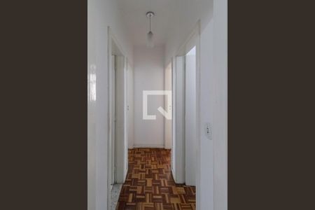 Corredor de apartamento à venda com 3 quartos, 70m² em Santa Amelia, Belo Horizonte