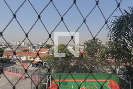 Vista da Suíte de apartamento para alugar com 3 quartos, 70m² em Carandiru, São Paulo