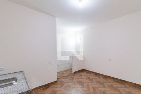 Studio de kitnet/studio para alugar com 1 quarto, 17m² em Vila Caldas, São Paulo