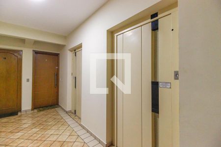 Apartamento à venda com 72m², 3 quartos e 1 vaga Apartamento à venda com 72m², 3 quartos e 1 vagaElevadores