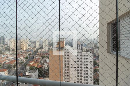 Varanda da Sala - Vista de apartamento à venda com 2 quartos, 79m² em Cambuci, São Paulo