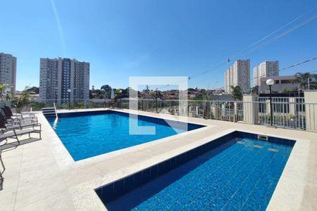 Área comum - Piscina de apartamento para alugar com 2 quartos, 43m² em Parque Industrial, Campinas