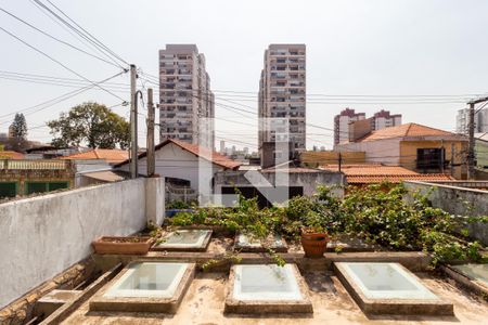 Vista - Sala de casa para alugar com 4 quartos, 180m² em Vila Invernada, São Paulo