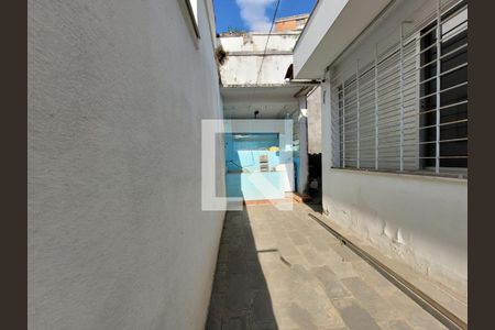 Quintal de casa à venda com 3 quartos, 256m² em Santo Antônio, Belo Horizonte