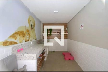 Pet Care de apartamento para alugar com 1 quarto, 28m² em Jardim Caravelas, São Paulo