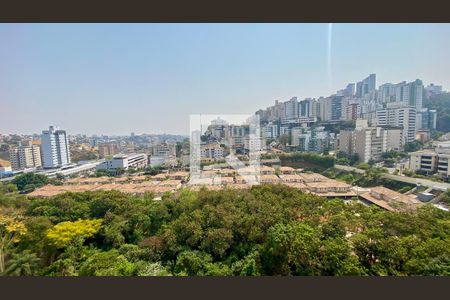 Vista de apartamento à venda com 2 quartos, 66m² em Buritis, Belo Horizonte