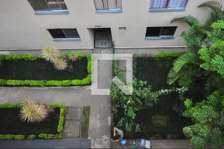 Vista para o Jardim de apartamento para alugar com 3 quartos, 62m² em Jardim Umarizal, São Paulo