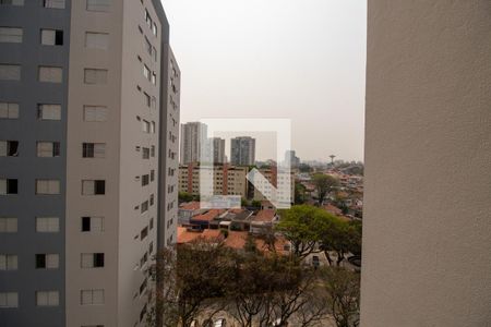 Vista do Quarto 1 de apartamento para alugar com 3 quartos, 80m² em Jardim Bonfiglioli, São Paulo