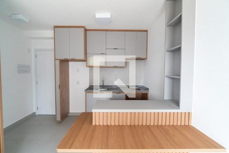 Sala/Cozinha de apartamento para alugar com 1 quarto, 29m² em Vila Santa Catarina, São Paulo