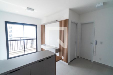 Sala/Cozinha de apartamento para alugar com 1 quarto, 29m² em Vila Santa Catarina, São Paulo